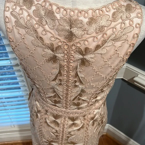 Gorgeous Sue Wong champagne embroidered dress - Picture 5 of 6